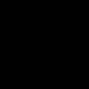 Meet your Posher, Shanelle